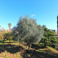 Land plot in Greece, Ionian Islands, 4262 sq.m.