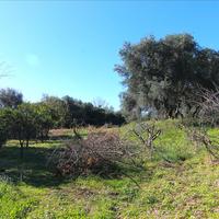 Land plot in Greece, Ionian Islands, 4262 sq.m.