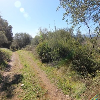 Land plot in Greece, Ionian Islands, 15000 sq.m.