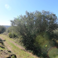 Land plot in Greece, Ionian Islands, 15000 sq.m.