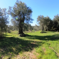 Land plot in Greece, Ionian Islands, 44000 sq.m.