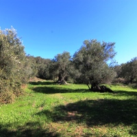 Land plot in Greece, Ionian Islands, 44000 sq.m.