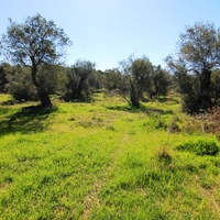 Land plot in Greece, Ionian Islands, 44000 sq.m.