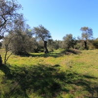 Land plot in Greece, Ionian Islands, 44000 sq.m.