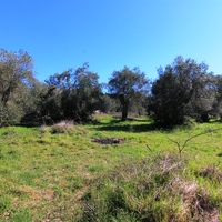 Land plot in Greece, Ionian Islands, 44000 sq.m.