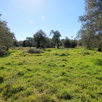 Land plot in Greece, Ionian Islands, 44000 sq.m.