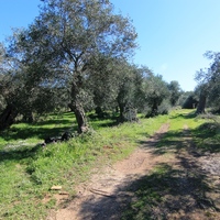 Land plot in Greece, Ionian Islands, 44000 sq.m.