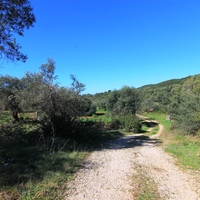 Land plot in Greece, Ionian Islands, 44000 sq.m.