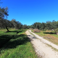 Land plot in Greece, Ionian Islands, 44000 sq.m.