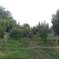 Other in Greece, Central Macedonia, Center, 310 sq.m.