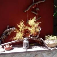 Other in Greece, Central Macedonia, Center, 80 sq.m.