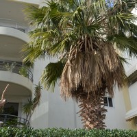 Flat in Greece, Attica, Athens, 96 sq.m.