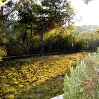 Другое в Греции, Аттика, Афины, 200 кв.м.