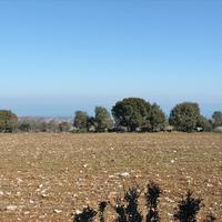 Land plot in Greece, Central Macedonia, Center
