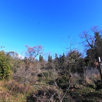 Земельный участок в Греции, Ионические острова, 2000 кв.м.