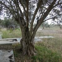 Вилла в Греции, 420 кв.м.