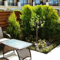 Townhouse in Republic of Cyprus, Lima, 80 sq.m.