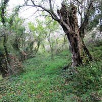 Land plot in Greece, Ionian Islands, 715 sq.m.