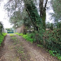 Land plot in Greece, Ionian Islands, 100 sq.m.