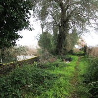 Land plot in Greece, Ionian Islands, 100 sq.m.