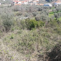 Land plot in Greece, Kavala