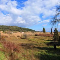 Land plot in Greece, Ionian Islands, 4000 sq.m.