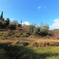 Land plot in Greece, Ionian Islands, 4000 sq.m.