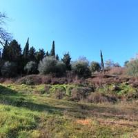 Land plot in Greece, Ionian Islands, 4000 sq.m.