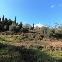 Land plot in Greece, Ionian Islands, 4000 sq.m.
