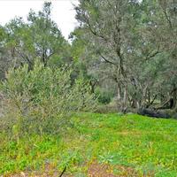 Land plot in Greece, Ionian Islands