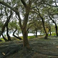 Land plot in Greece, Ionian Islands