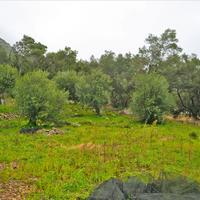 Land plot in Greece, Ionian Islands