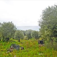 Land plot in Greece, Ionian Islands