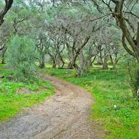 Land plot in Greece, Ionian Islands