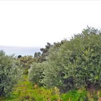 Land plot in Greece, Ionian Islands