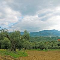Land plot in Greece, Ionian Islands