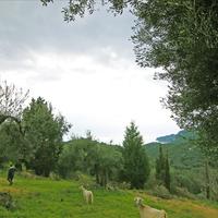 Land plot in Greece, Ionian Islands