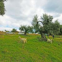 Land plot in Greece, Ionian Islands