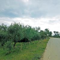 Land plot in Greece, Ionian Islands