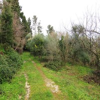 Land plot in Greece, Ionian Islands, 5900 sq.m.