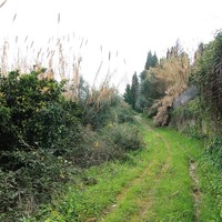 Land plot in Greece, Ionian Islands, 5900 sq.m.