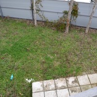 Другое в Греции, Центральная Македония, Центр, 240 кв.м.