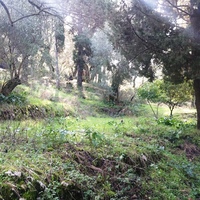 Land plot in Greece, Ionian Islands, 3315 sq.m.