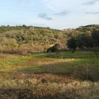 Land plot in Greece, Ionian Islands, 2596 sq.m.