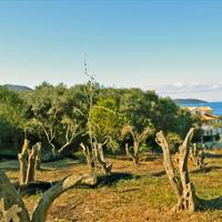 Земельный участок в Греции, Ионические острова