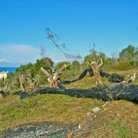 Земельный участок в Греции, Ионические острова