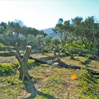 Земельный участок в Греции, Ионические острова