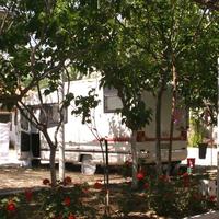 Land plot in Greece, Peloponnese, Kori