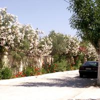 Land plot in Greece, Peloponnese, Kori