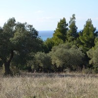 Land plot in Greece, Central Macedonia, Center